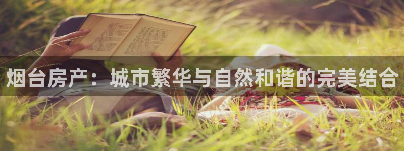 摩登7官网的详细介绍
