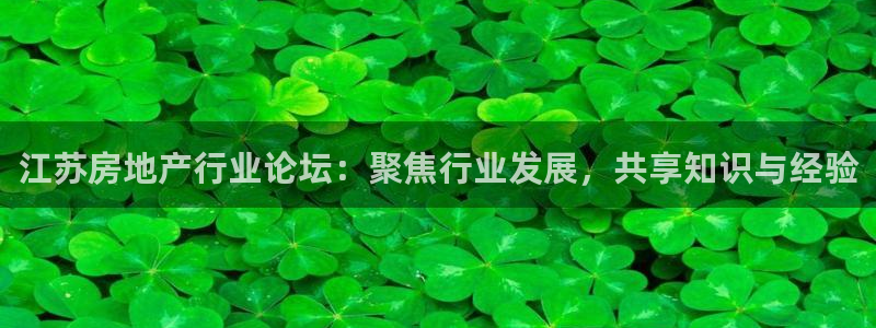 摩登6吕7O667：江苏房地产行业论坛：聚焦行业发展，共享知