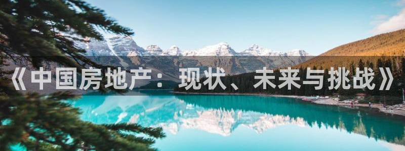 摩登4天7O667：《中国房地产：现状、未来与挑战》