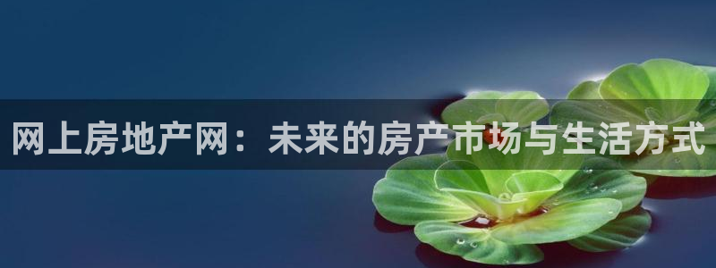 摩登7月3299O7：网上房地产网：未来的房产市场与生活方式