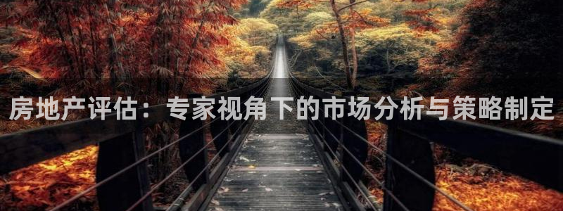 摩登7在线注册加v：房地产评估：专家视角下的市场分析与策略制