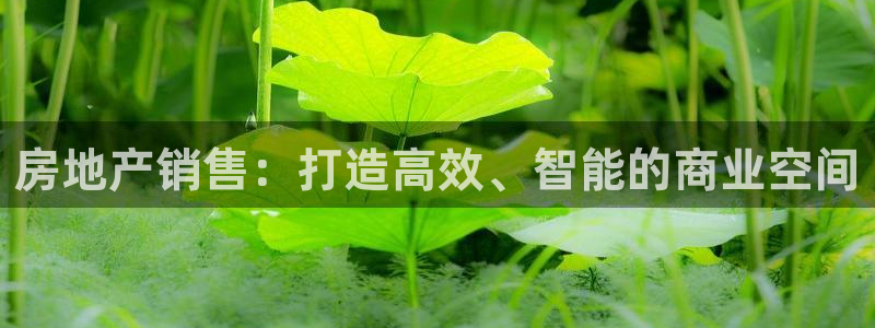 摩登5施7O667：房地产销售：打造高效、智能的商业空间