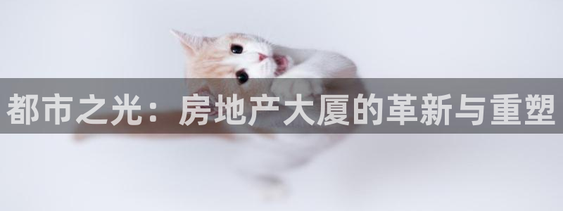 摩登7彩票平台是啥：都市之光：房地产大厦的革新与重塑