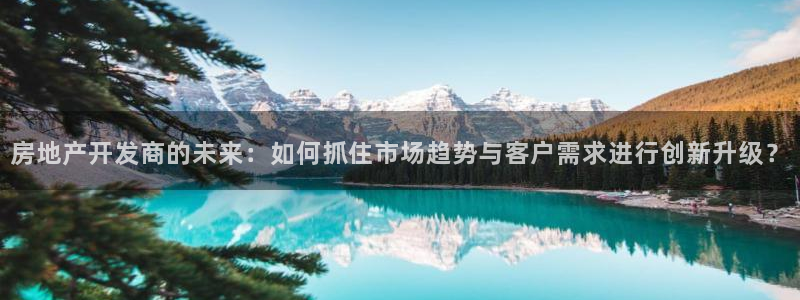 摩登招商虍金手指排名7：房地产开发商的未来：如何抓住市场趋势