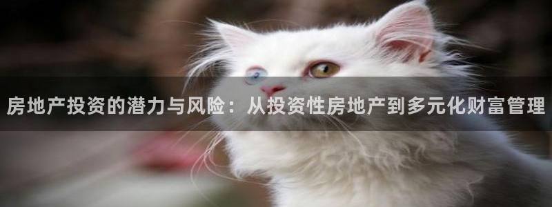 摩登7登陆平台：房地产投资的潜力与风险：从投资性房地产到多元