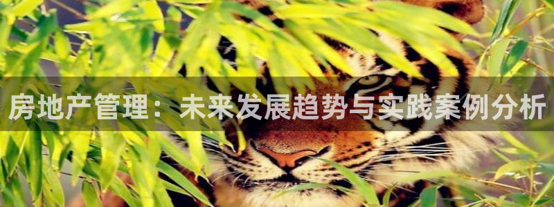 华彩7级摩登：房地产管理：未来发展趋势与实践案例分析