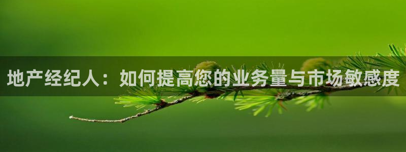 摩登7注册快333OO：地产经纪人：如何提高您的业务量与市场