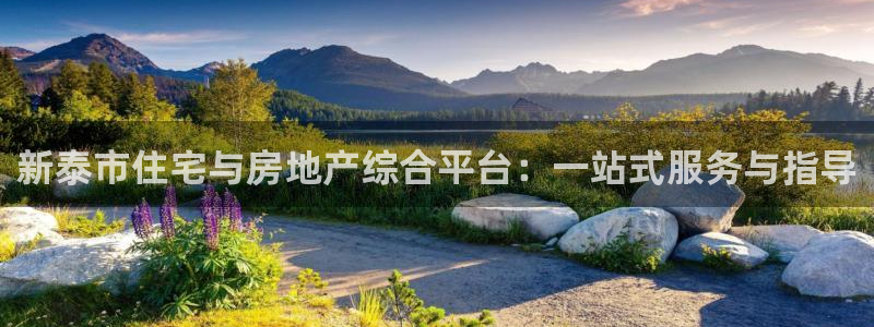 摩登7 平台：新泰市住宅与房地产综合平台：一站式服务与指导