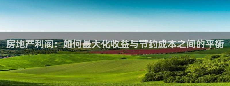 摩登4天7O667：房地产利润：如何最大化收益与节约成本之间
