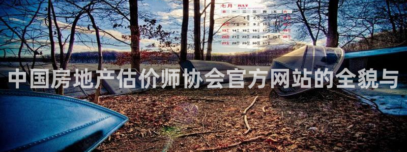 摩登2 7：中国房地产估价师协会官方网站的全貌与