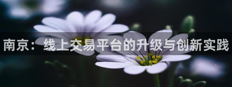 摩登注册型7O777：南京：线上交易平台的升级与创新实践
