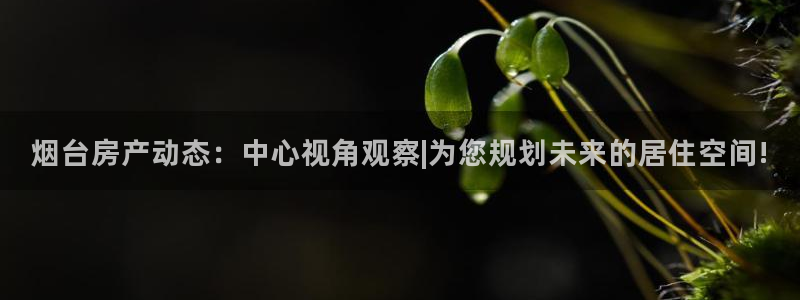 摩登7注册qv382223：烟台房产动态：中心视角观察|为您