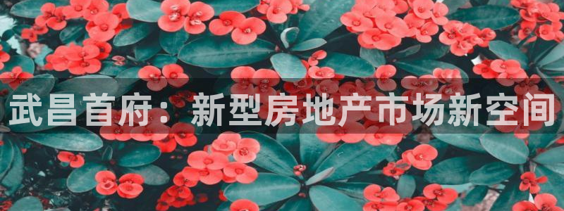 摩登7主管亲333OO：武昌首府：新型房地产市场新空间