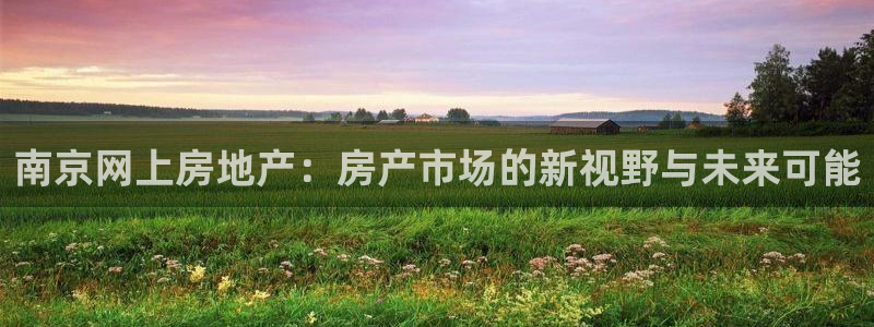 摩登5许7O667：南京网上房地产：房产市场的新视野与未来可