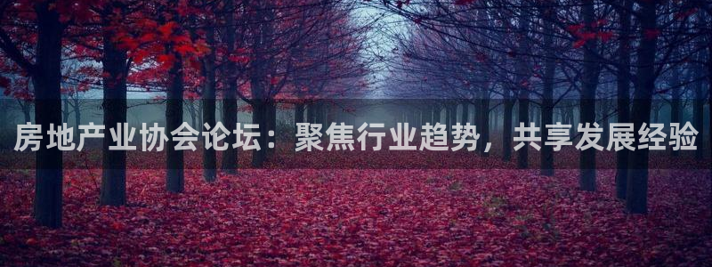 摩登7注册账号：房地产业协会论坛：聚焦行业趋势，共享发展经验