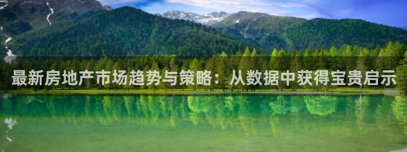 摩登7登录注册加v：最新房地产市场趋势与策略：从数据中获得宝