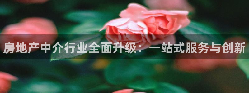 摩登3吕7O667：房地产中介行业全面升级：一站式服务与创新