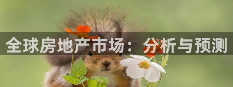 摩登6韩这7O667：全球房地产市场：分析与预测
