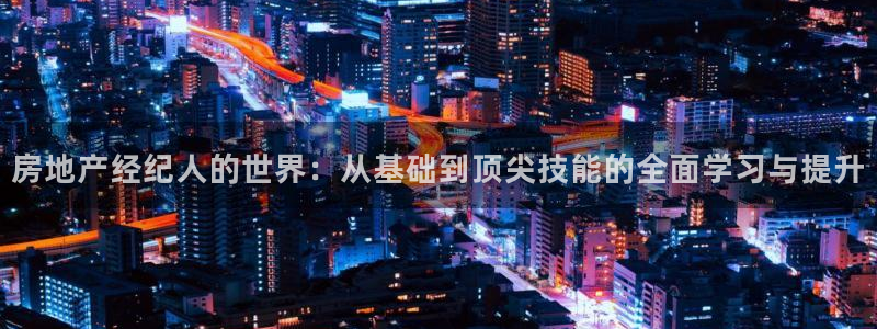 摩登6张7O667：房地产经纪人的世界：从基础到顶尖技能的全