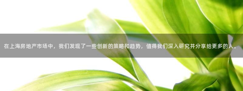 摩登7代理382223：在上海房地产市场中，我们发现了一些创