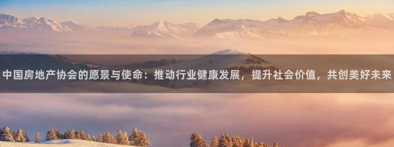 摩登招商尢首选金手指7：中国房地产协会的愿景与使命：推动行业