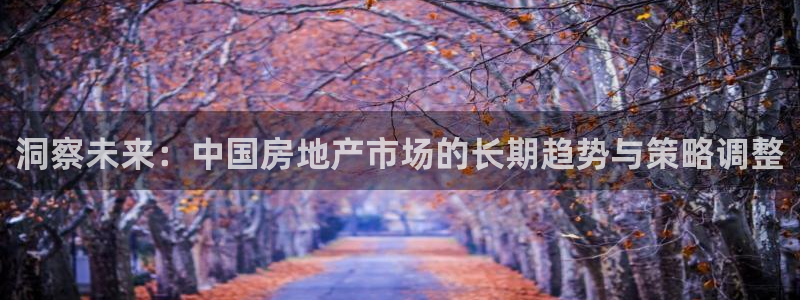摩登7在线注册：洞察未来：中国房地产市场的长期趋势与策略调整