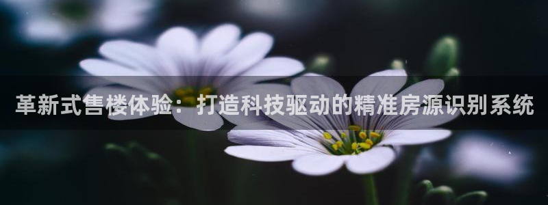摩登7登录释333OO：革新式售楼体验：打造科技驱动的精准房