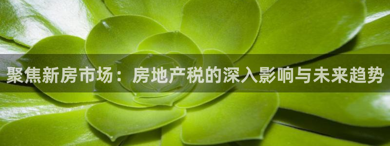 摩登7 1：聚焦新房市场：房地产税的深入影响与未来趋势