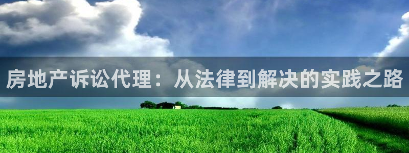 摩登7经3299O7：房地产诉讼代理：从法律到解决的实践之路