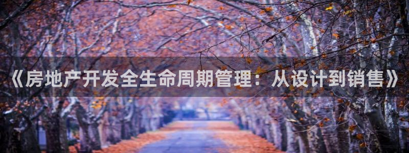 摩登4上7O667：《房地产开发全生命周期管理：从设计到销售