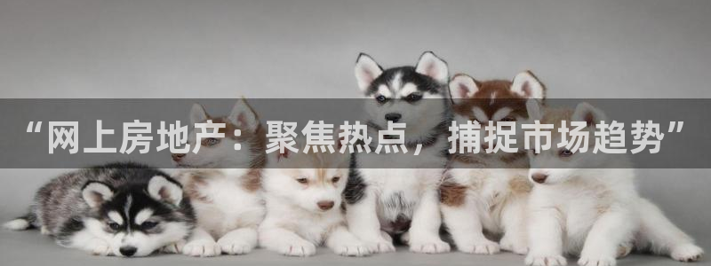 摩登7来宾：“网上房地产：聚焦热点，捕捉市场趋势”