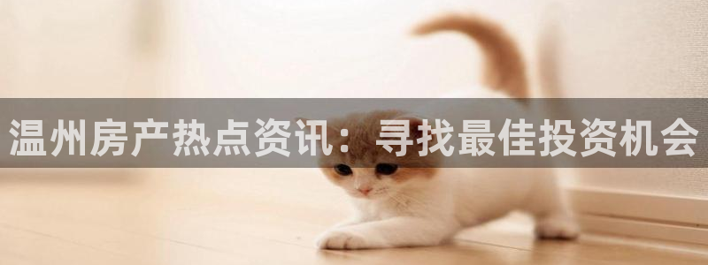 摩登7主管：温州房产热点资讯：寻找最佳投资机会