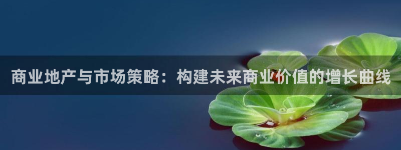 摩登招商7约22650：商业地产与市场策略：构建未来商业价值