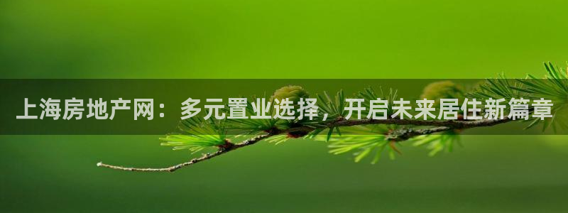 摩登7平台把7O777：上海房地产网：多元置业选择，开启未来