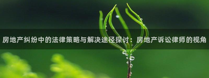 摩登6吴这7O667：房地产纠纷中的法律策略与解决途径探讨：