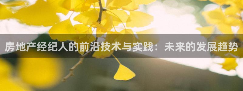 摩登7app下载：房地产经纪人的前沿技术与实践：未来的发展趋