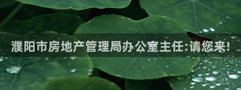 摩登3右7O667：濮阳市房地产管理局办公室主任:请您来!