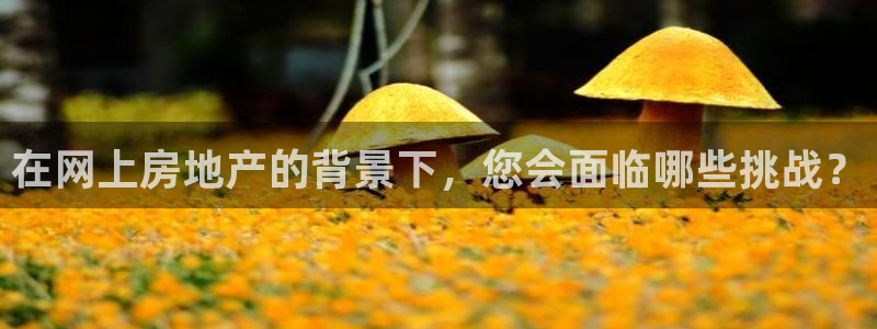 摩登7关：在网上房地产的背景下，您会面临哪些挑战？
