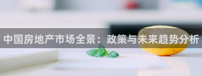 摩登精品7口碑极限：中国房地产市场全景：政策与未来趋势分析