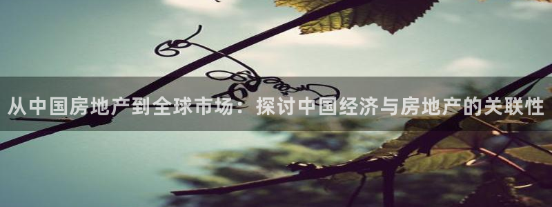 摩登7关：从中国房地产到全球市场：探讨中国经济与房地产的关联