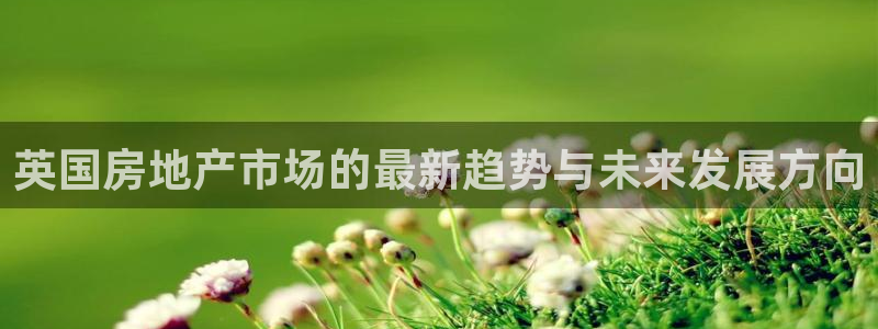 摩登6右7O667：英国房地产市场的最新趋势与未来发展方向