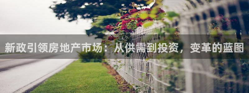 摩登7官方：新政引领房地产市场：从供需到投资，变革的蓝图