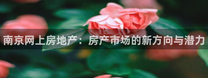 摩登7登录博333OO：南京网上房地产：房产市场的新方向与潜