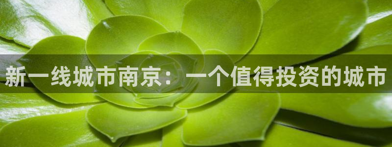 摩登7官网的详细介绍：新一线城市南京：一个值得投资的城市