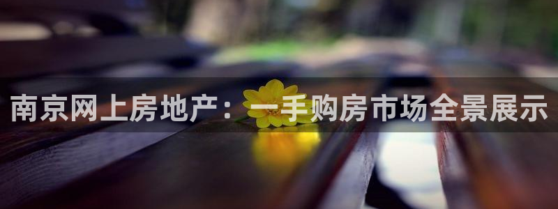 摩登7平台信誉：南京网上房地产：一手购房市场全景展示