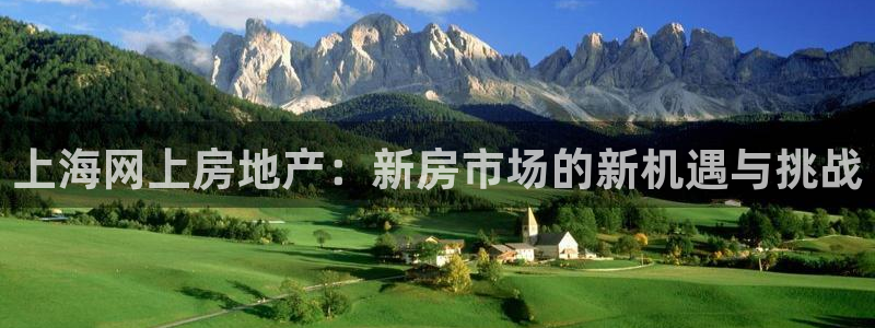 摩登4天7O667：上海网上房地产：新房市场的新机遇与挑战
