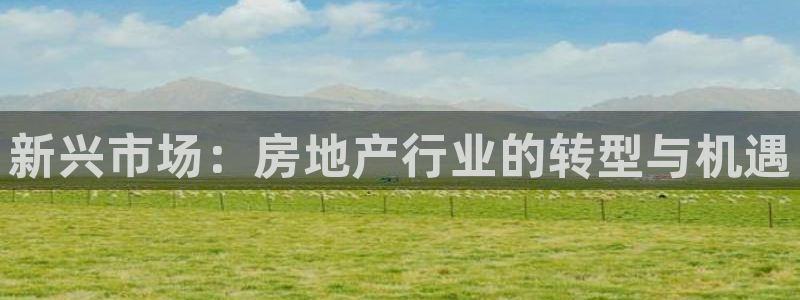 摩登7平台网址：新兴市场：房地产行业的转型与机遇
