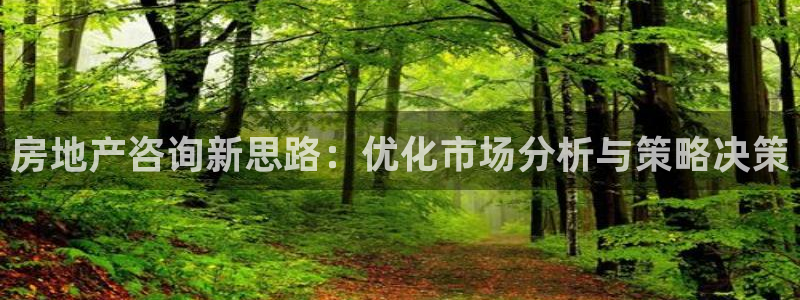 摩登5右7O667：房地产咨询新思路：优化市场分析与策略决策