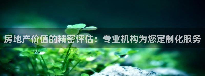 摩登7后：房地产价值的精密评估：专业机构为您定制化服务