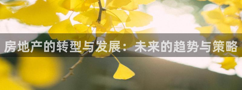 摩登7注册：房地产的转型与发展：未来的趋势与策略